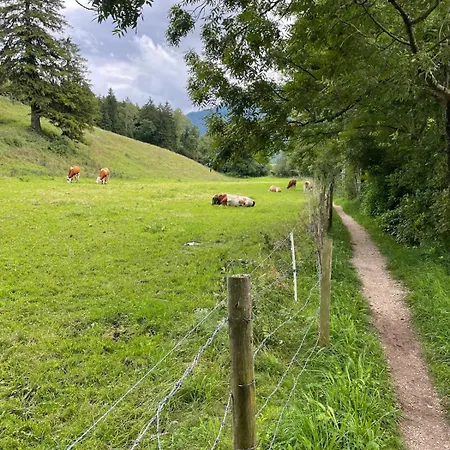 Am Moosbach * Anger