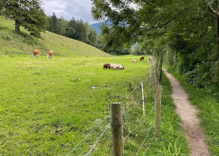 Am Moosbach * Anger